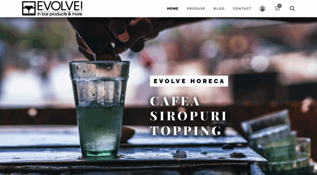 evolvehoreca.ro