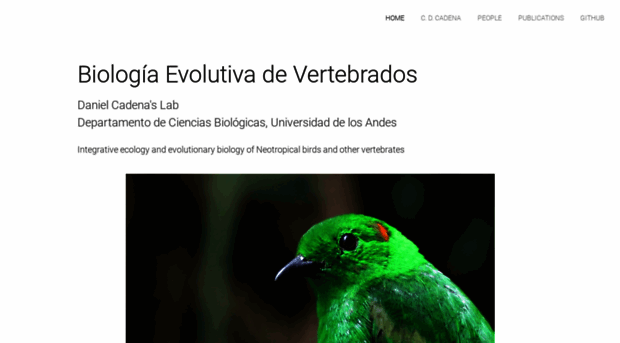 evolvert.uniandes.edu.co