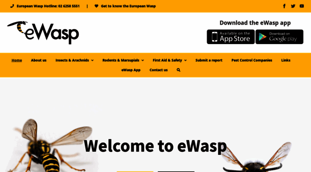 ewasp.com.au