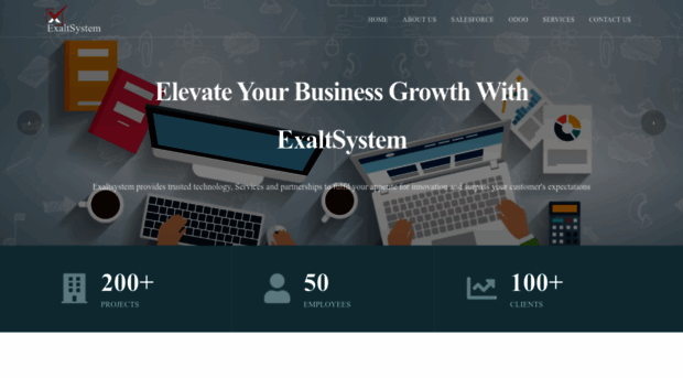 exaltsystem.com