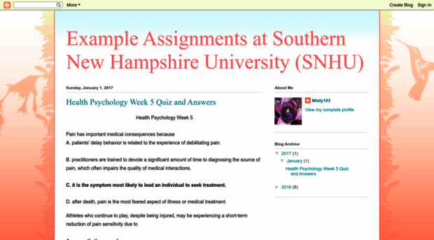 exampleassignmentsatsnhu.blogspot.com