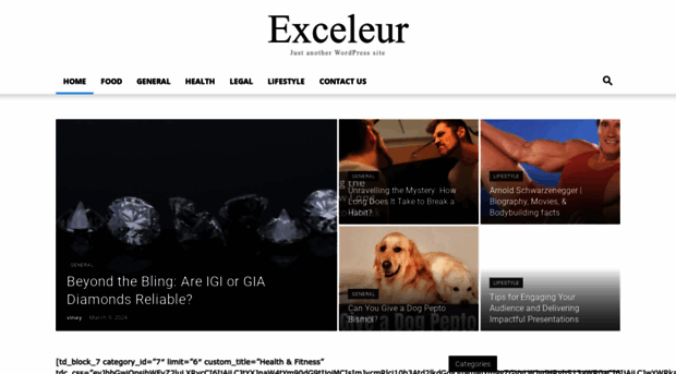 exceleur.net