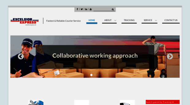 excelsior-express.net