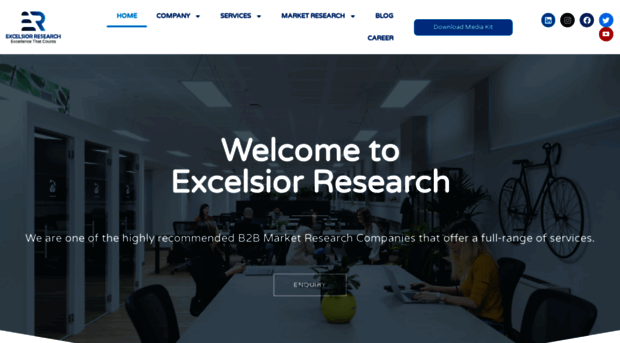 excelsiorresearch.com