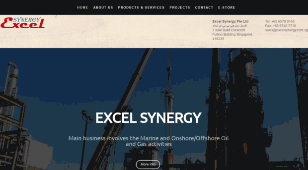 excelsynergy.com.sg