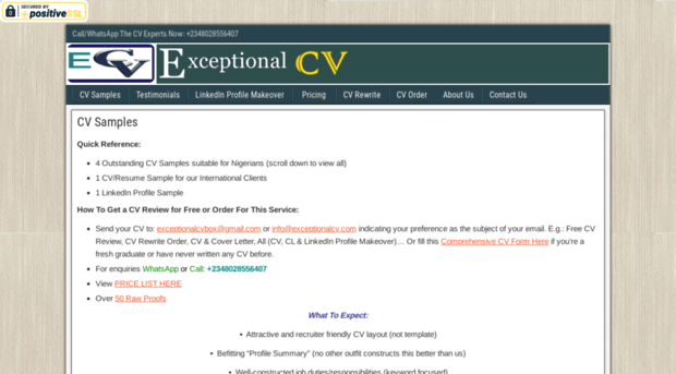 exceptionalcv.com