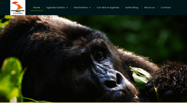 exceptionalugandagorillasafaris.com