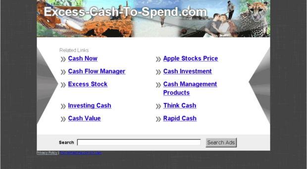 excess-cash-to-spend.com