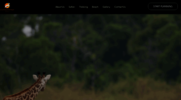 excitingjourneys.africa