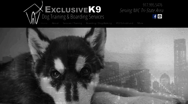 exclusivek9.com