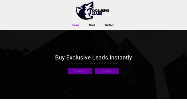 exclusiveseoleads.com