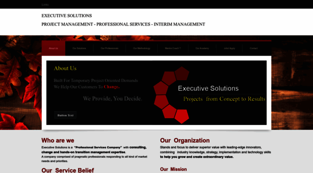 executive-solutions.weebly.com