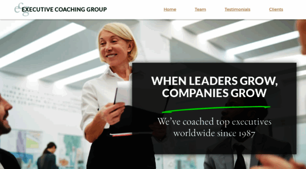 executivecoachgroup.com