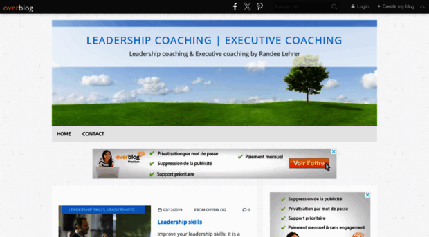 executivecoaching.overblog.com