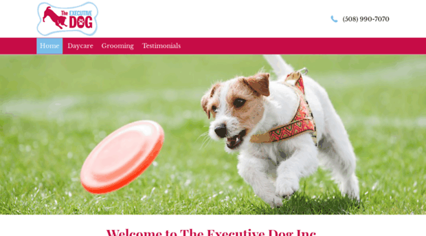 executivedog.com