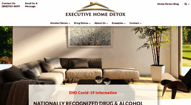 executivehomedetox.com