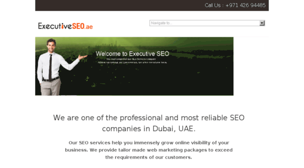 executiveseo.ae