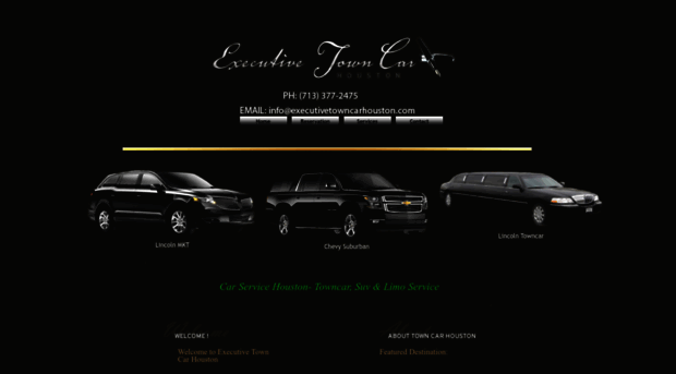 executivetowncarhouston.com