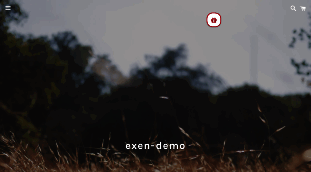 exen-demo.myshopify.com