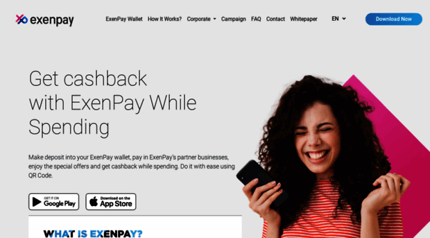 exenpay.com