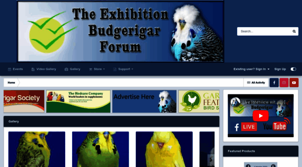 exhibitionbudgerigarforum.co.uk