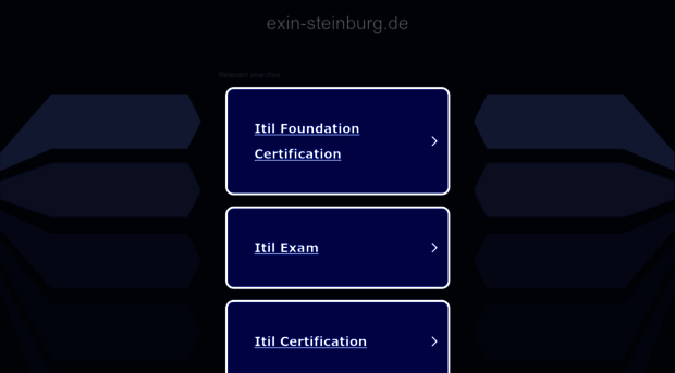 exin-steinburg.de