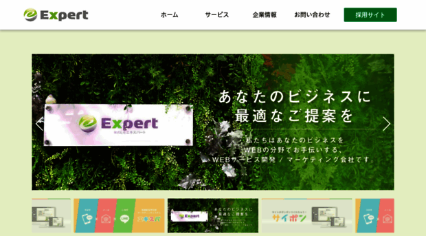 exp-t.com