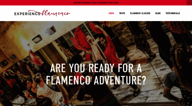 experienceflamenco.com