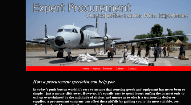 expert-procurement.com