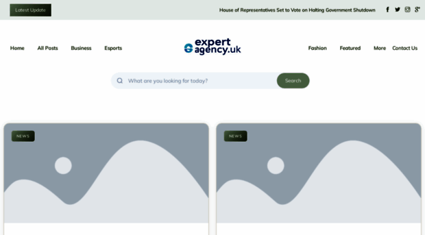 expertagency.uk