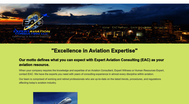 expertaviationconsulting.com