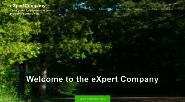 expertcompany.us