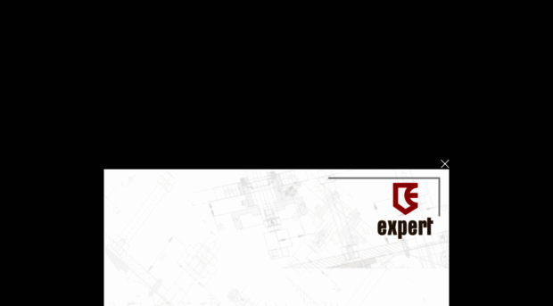 expertindia.com