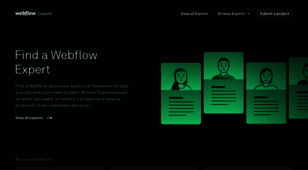 experts-demo.webflow.io