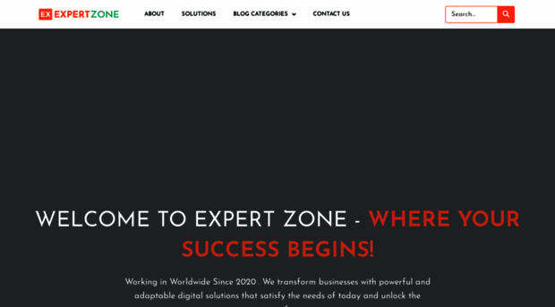 experts-zone.com