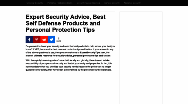 expertsecuritytips.com