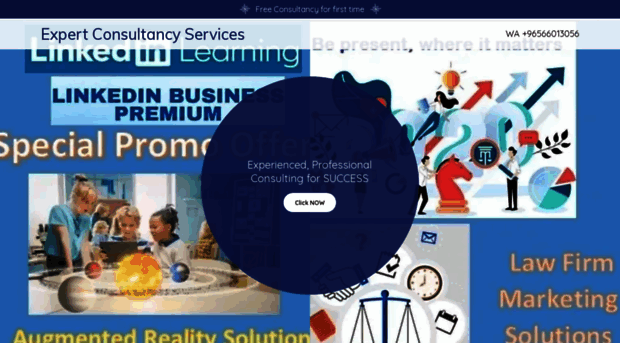 expertservices.co.in