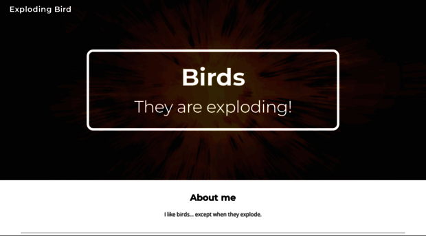 explodingbird.com