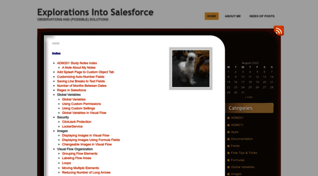 explorationsintosalesforce.wordpress.com