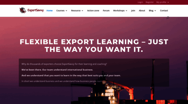 exportsavvy.co.uk