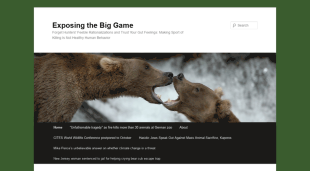 exposingthebiggame.wordpress.com