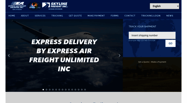 expressairfreight.com