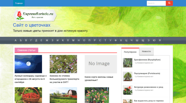 expressfloristic.ru