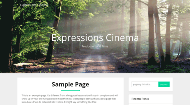 expressionscinema.com