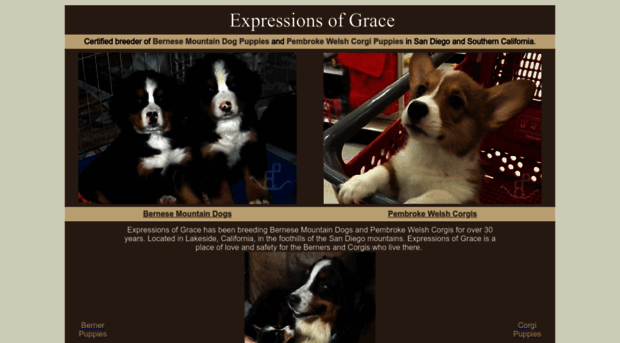 expressionsofgrace.com