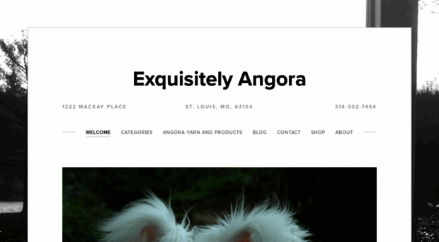 exquisitelyangora.com