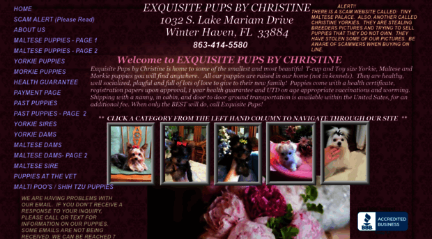 exquisitepupsbychristine.com