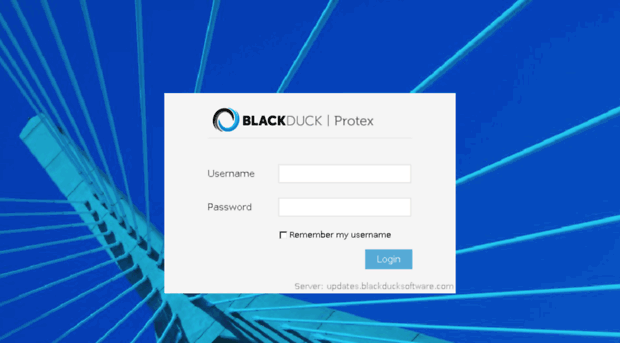 ext.blackducksoftware.com