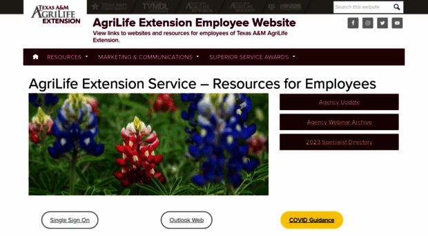 extensionemployees.tamu.edu