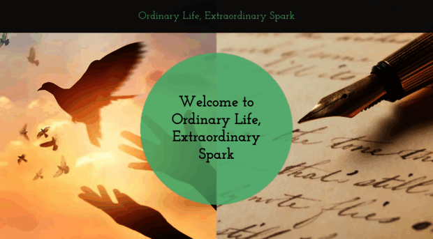 extraordinaryspark.com